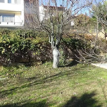 Вілла κατοικία με θέα στο δάσος